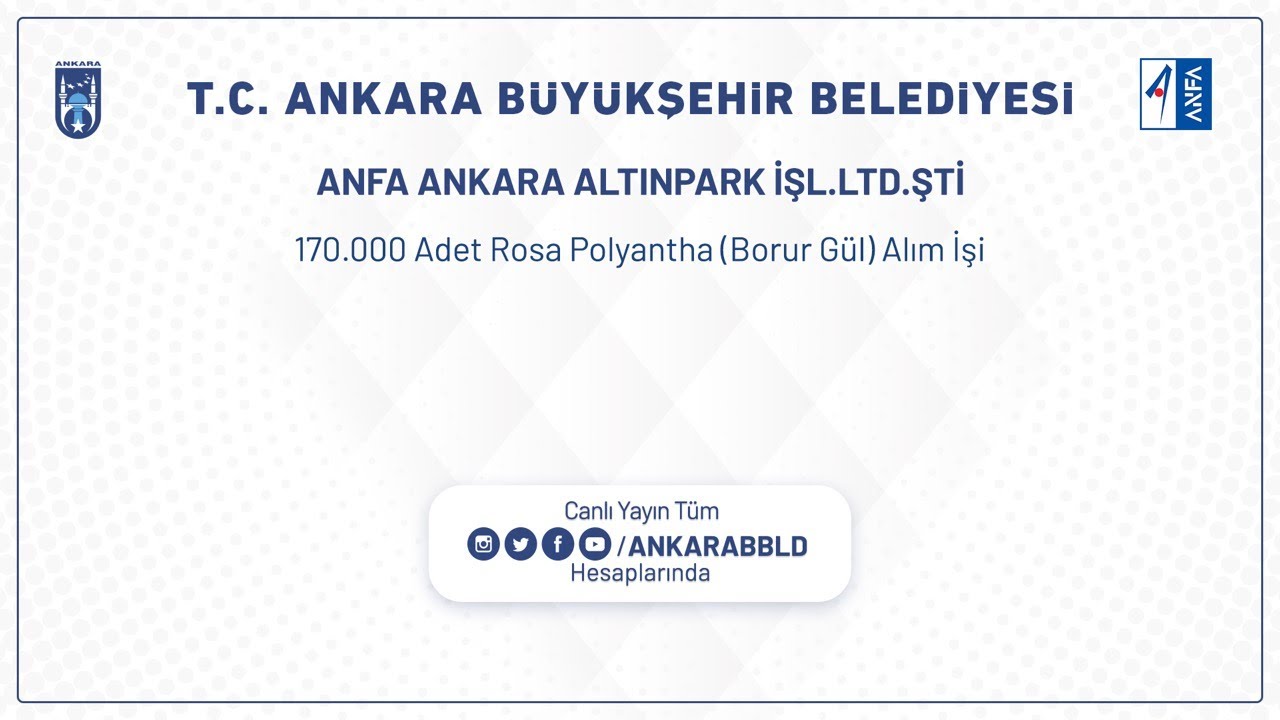 Anfa Ankara Altınpark İşletmeleri LTD. ŞTİ. 170.000 Adet Rosa Polyantha ( Borur Gül ) Alım İşi