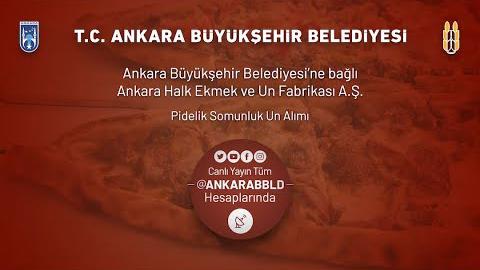 Ankara Halk Ekmek ve Un Fabrikası A.Ş. Pidelik Somunluk Un Alımı