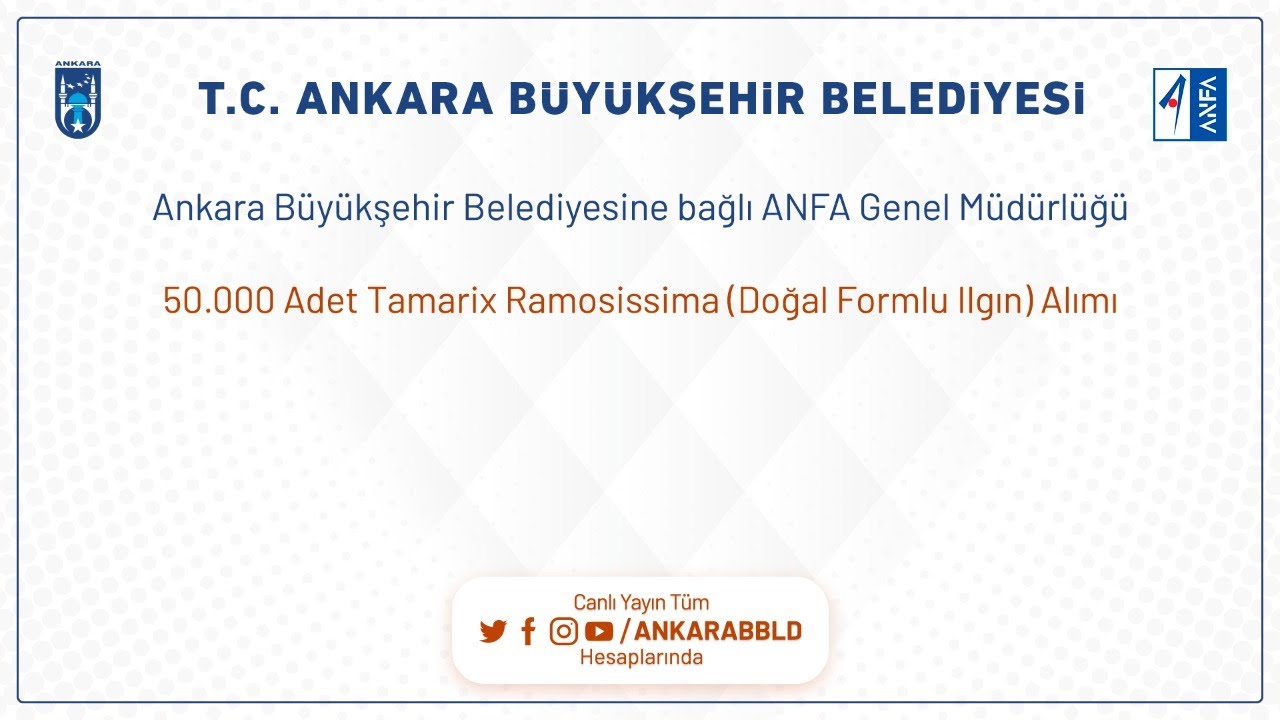 ANFA Genel Müdürlüğü 50.000 Adet Tamarix Ramosissima (Doğal Formlu Ilgın) Alım İşi