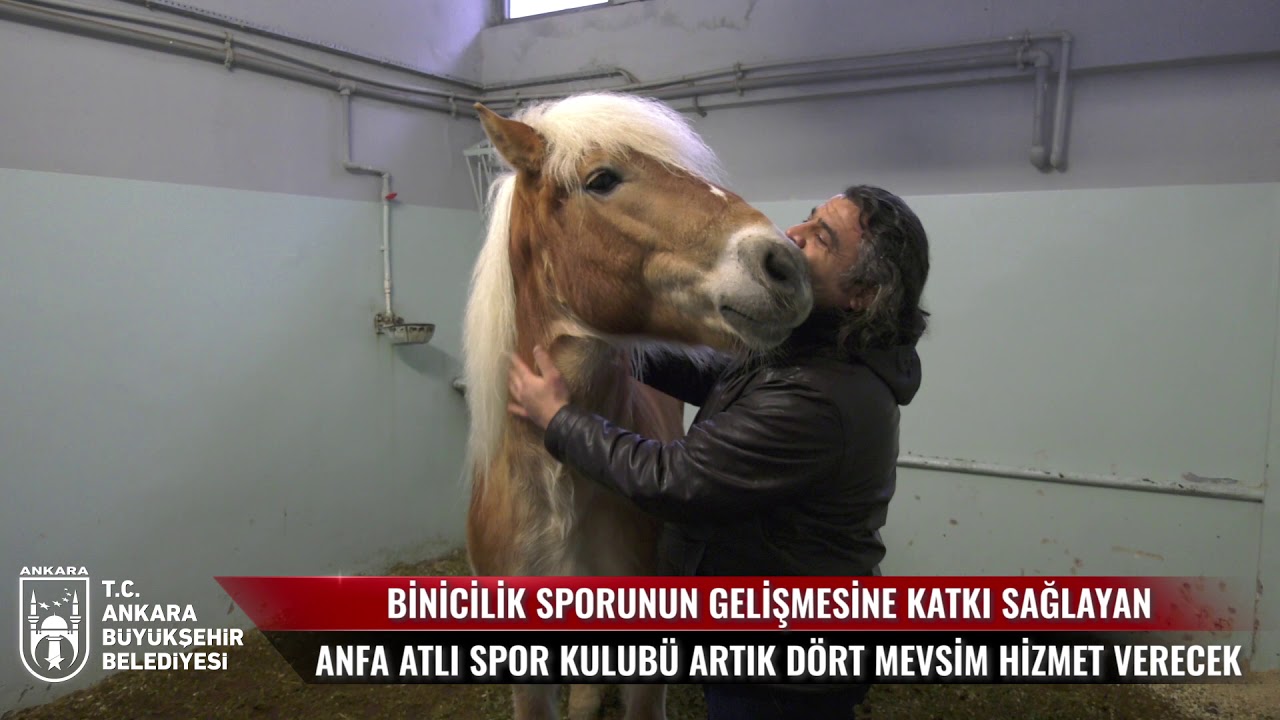 BÜYÜKŞEHİR&#39;DEN BİNİCİLİK SPORUNA TAM DESTEK