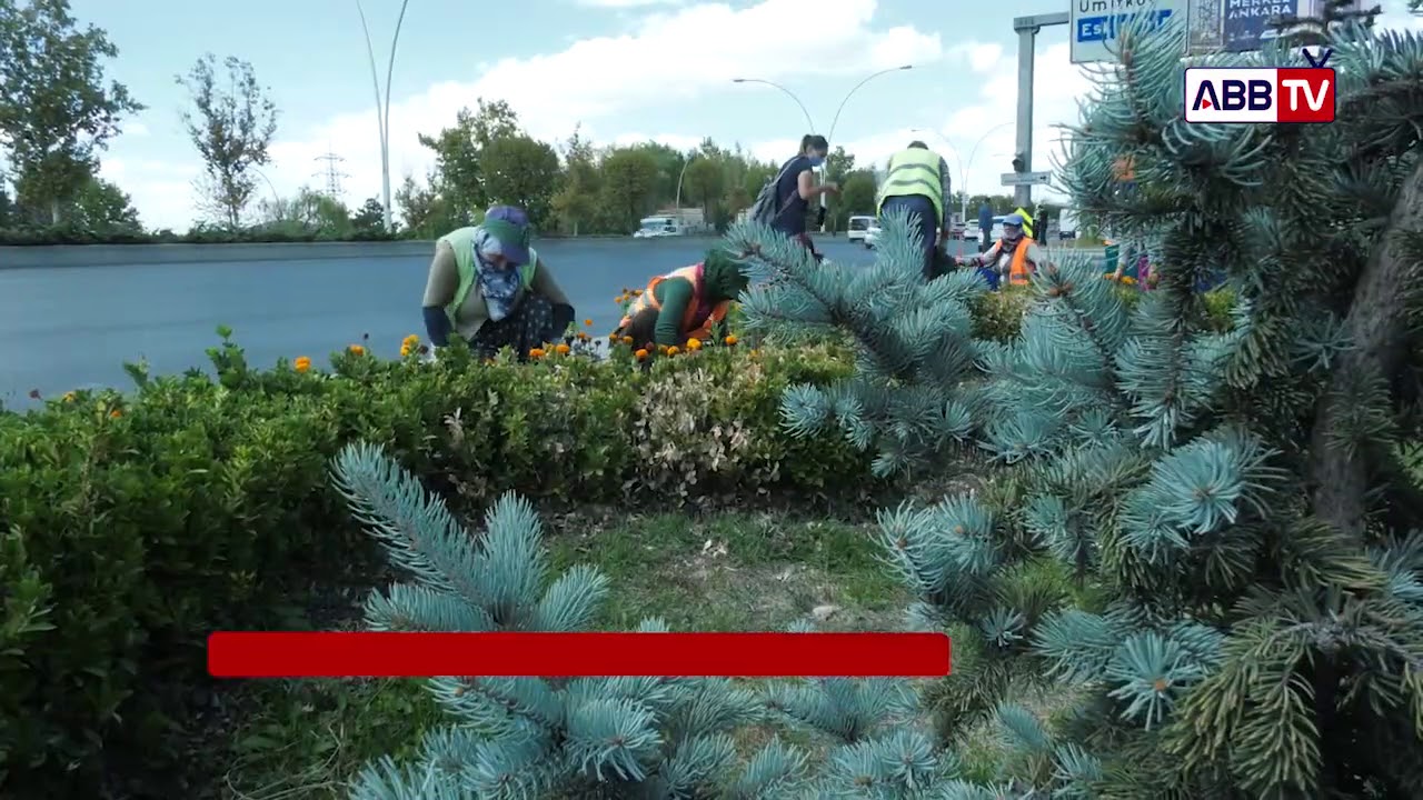 BAŞKENT ARTIK DAHA YEŞİL