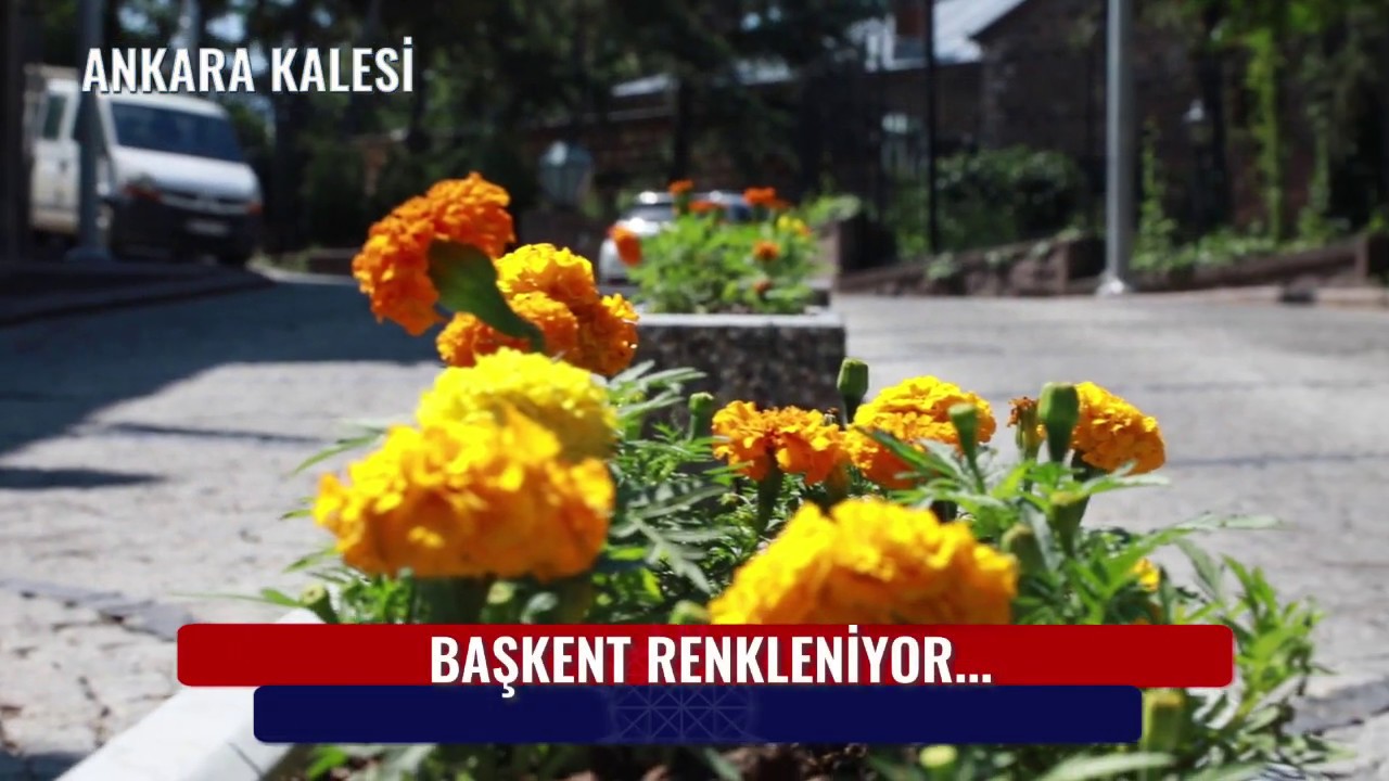 RENGARENK KENT BAŞKENT