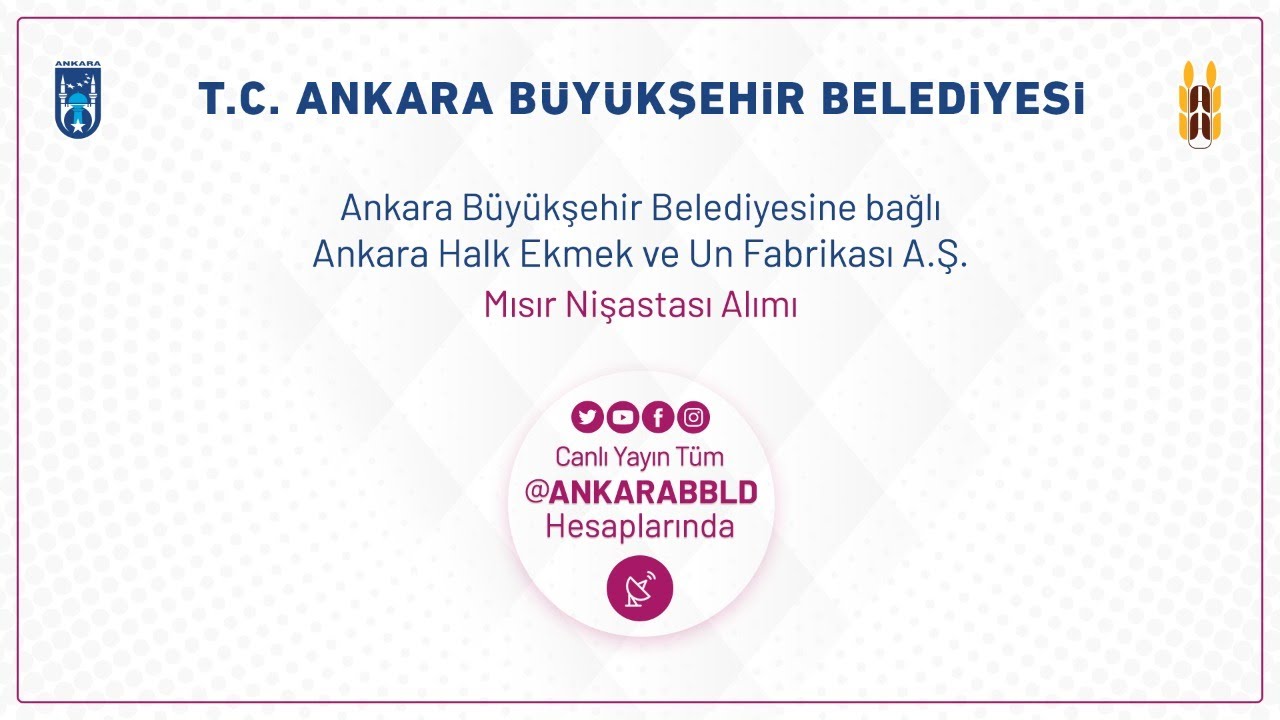 Ankara Halk Ekmek ve Un Fabrikası A.Ş. Mısır Nişastası Alımı