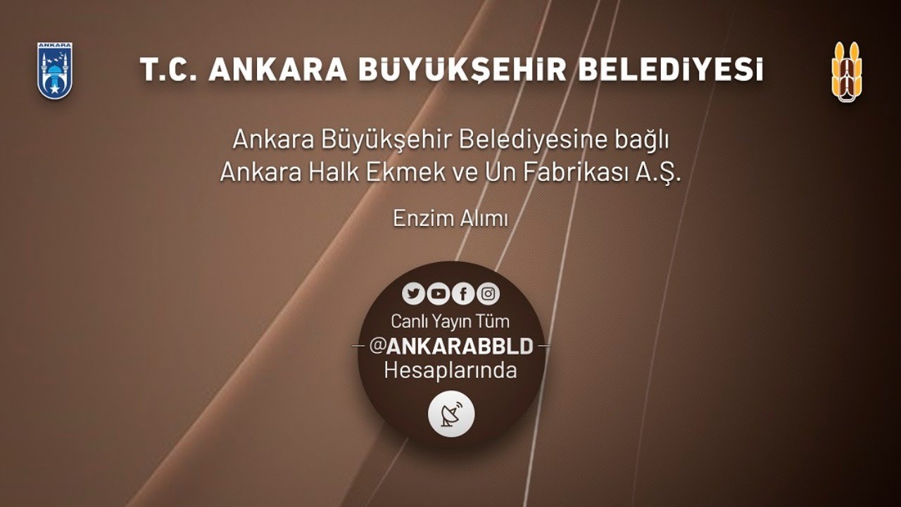 Ankara Halk Ekmek ve Un Fabrikası A.Ş. Enzim Alımı