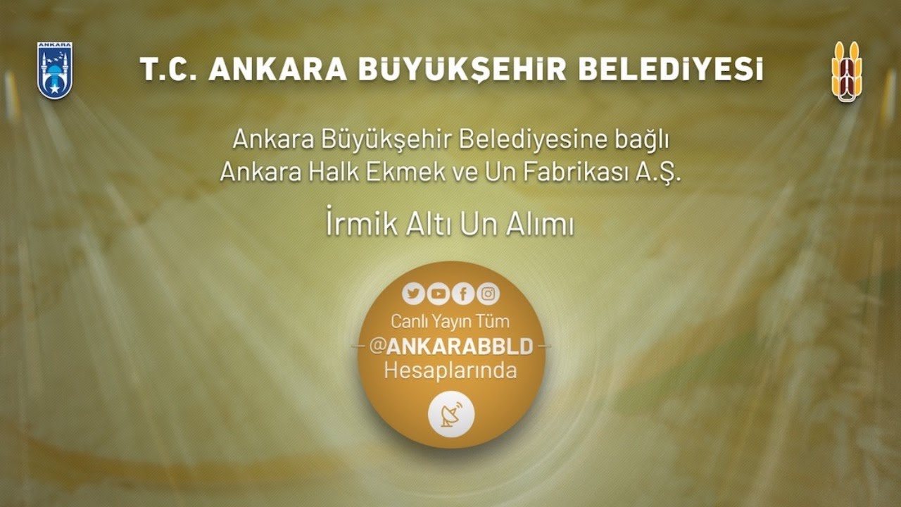 Ankara Halk Ekmek ve Un Fabrikası A.Ş. İrmik Altı Un Alımı