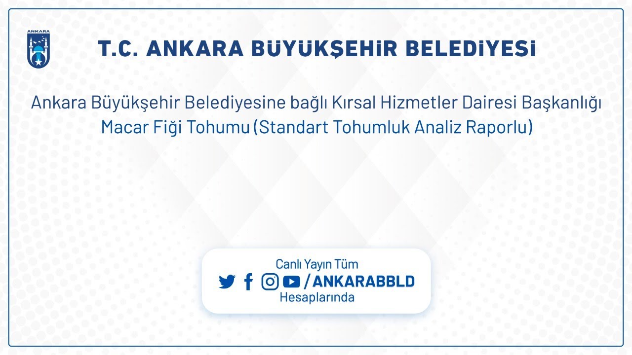 KIRSAL HİZMETLER DAİRESİ BAŞKANLIĞI - Macar Fiği Tohumu (Standart Tohumluk Analiz Raporlu)