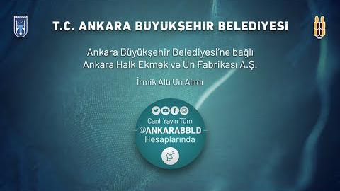 Ankara Halk Ekmek ve Un Fabrikası A.Ş. İrmik Altı Un Alımı