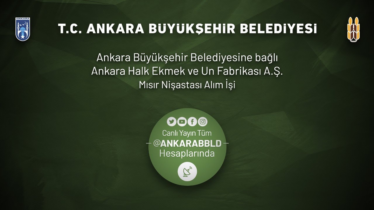 Ankara Halk Ekmek ve Un Fabrikası Mısır A.Ş. Nişastası Alım İşi