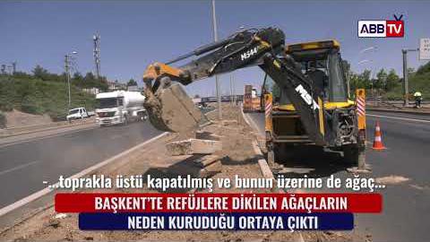 BAŞKENT&#39;TE REFÜJLERE DİKİLEN AĞAÇLARIN NEDEN KURUDUĞU ORTAYA ÇIKTI