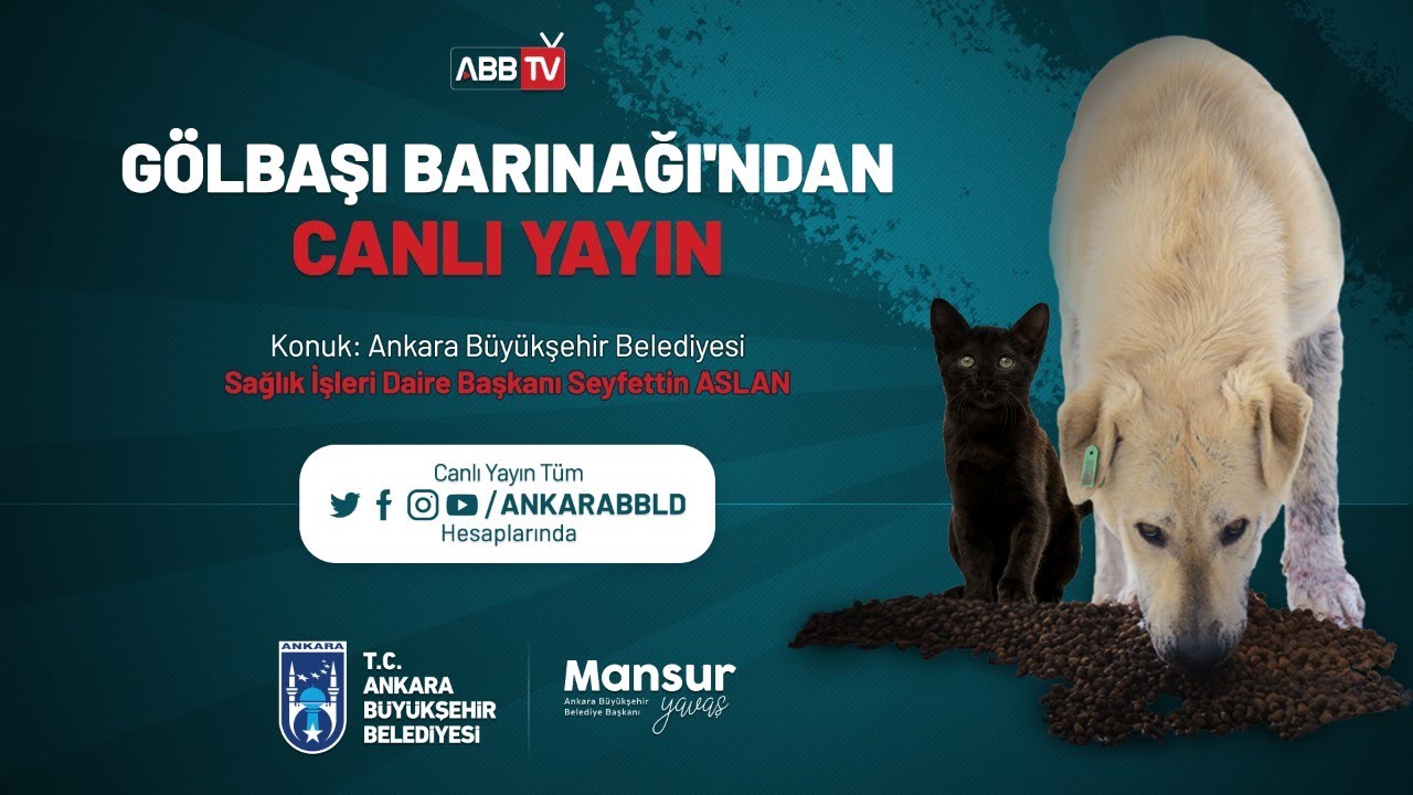 BÜYÜKŞEHİR BELEDİYESİ SAĞLIK İŞLERİ DAİRESİ BAŞKANI SEYFETTİN ASLAN GÖLBAŞI HAYVAN BARINAĞI&#39;NDA SORU