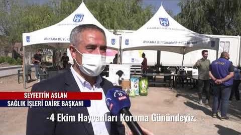 BÜYÜKŞEHİR BELEDİYESİ PATİLİ DOSTLARINI UNUTMADI