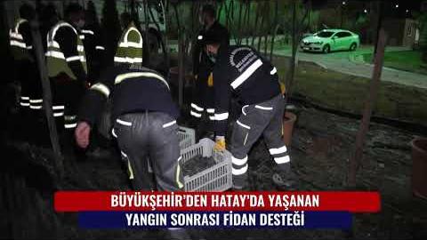 BÜYÜKŞEHİR'DEN HATAY'DA YAŞANAN YANGIN SONRASI FİDAN DESTEĞİ