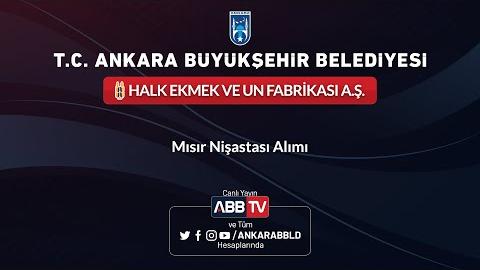 HALK EKMEK VE UN FABRİKASI A.Ş. - Mısır Nişastası Alımı