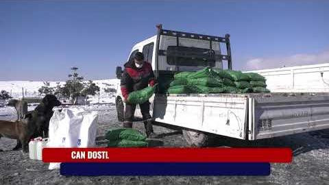 BÜYÜKŞEHİR'İN HAYVAN DOSTU UYGULAMALARI DEVAM EDİYOR