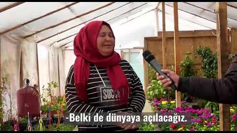 SÖZLEŞMELİ ÜRETİCİLİKTE SIRA BAŞKENTLİ ÇİÇEK ÜRETİCİLERİNDE