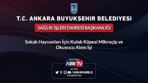 SAĞLIK İŞLERİ DAİRE BAŞKANLIĞI - Sokak Hayvanları İçin Kulak Küpesi Mikroçip ve Okuyucu Alımı İşi