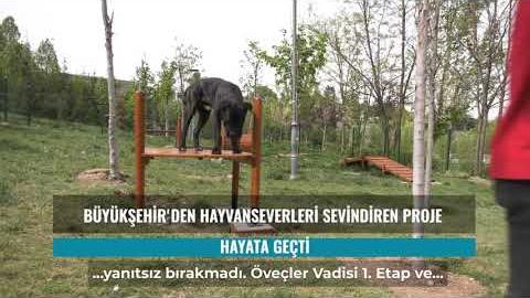 BÜYÜKŞEHİR’DEN HAYVANSEVERLERİ SEVİNDİREN PROJE: PATİ PARKLAR KURULUYOR