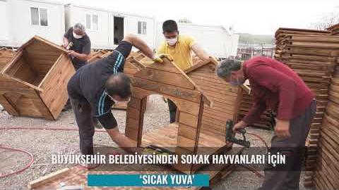 BÜYÜKŞEHİR’DEN SOKAK HAYVANLARI İÇİN SICAK YUVA