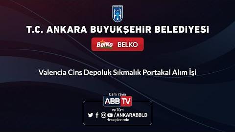 BELKO A.Ş. Valencia Cins Depoluk Sıkmalık Portakal Alım İşi