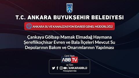 ASKİ GENEL MÜDÜRLÜĞÜ - Muhtelif İlçelerde Mevcut Su Depolarının Bakım ve Onarımlarının Yapılması