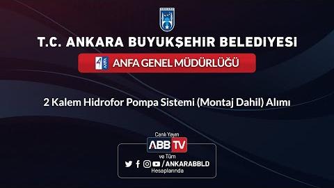 ANFA GENEL MÜDÜRLÜĞÜ 2 Kalem Hidrofor Pompa Sistemi (Montaj Dahil) Alımı