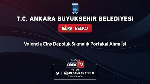 BELKO Valencia Cins Depoluk Sıkmalık Portakal Alımı İşi