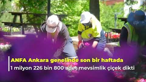  Havaların ısınmasıyla doğa canlanıyor, içimizi rengarenk çiçeklerin coşkusu sarıyor.