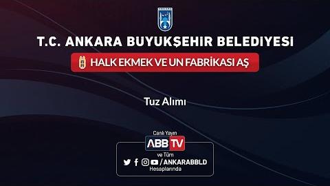 HALK EKMK VE UN FABRİKASI AŞ - Tuz Alımı