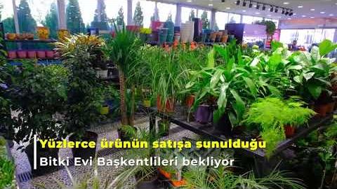 ANFA Bitki Evi’nin altıncı şubesi Çukurambar’da açıldı.