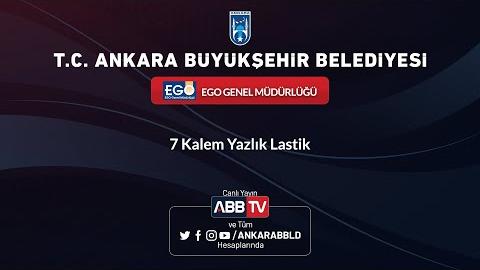 EGO GENEL MÜDÜRLÜĞÜ - 7 Kalem Yazlık Lastik