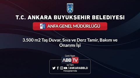 ANFA GENEL MÜDÜRLÜĞÜ - 3.500 m² Taş Duvar, Sıva ve Derz Tamir, Bakım ve Onarımı İşi