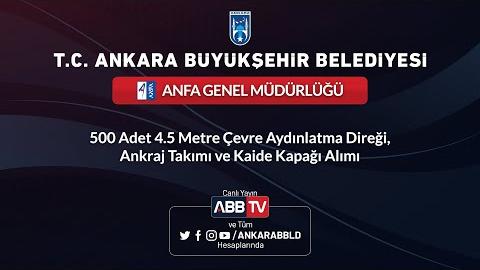 ANFA GENEL MÜDÜRLÜĞÜ-500 Adet 4,5 Metre Çevre Aydınlatma Direği, Ankraj Takımı ve Kaide Kapağı Alımı