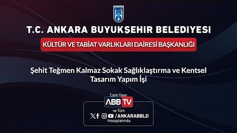 KÜLTÜR VE TABİAT VARLIKLARI DAİRESİ BAŞKANLIĞI-Şehit Teğmen Kalmaz Sokak Sağlıklaştırma ve Kentsel Tasarım Yapım İşi