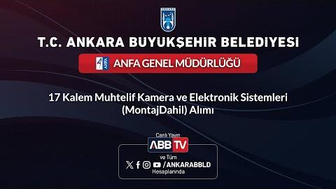 ANFA GENEL MÜDÜRLÜĞÜ - 17 Kalem Muhtelif Kamera ve Elektronik Sistemleri (Montaj Dahil) Alımı