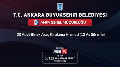 ANFA GENEL MÜDÜRLÜĞÜ - 30 Adet Binek Araç Kiralama Hizmeti(12 Ay Süre İle)