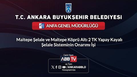 ANFA GENEL MÜDÜRLÜĞÜ - Maltepe Şelale ve Maltepe Köprü Altı 2 TK Yapay Kayalı Şelale Sisteminin Onarımı İşi