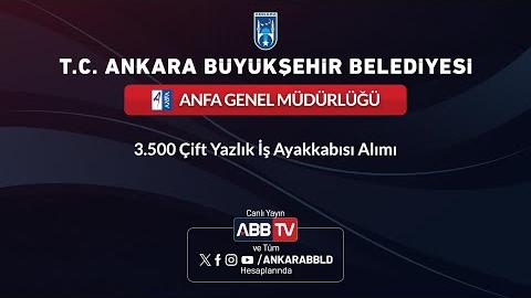 ANFA GENEL MÜDÜRLÜĞÜ - 3500 Çift Yazlık İş Ayakkabısı Alımı