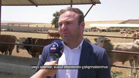 Sıcak havalarda artan haşere ve vektör unsurlarına karşı ilaçlama çalışmalarımız ilçe ilçe sürüyor. 