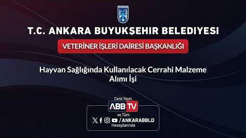 VETERİNER İŞLERİ DAİRESİ BAŞKANLIĞI - Hayvan Sağlığında Kullanılacak Cerrahi Malzeme Alımı İşi